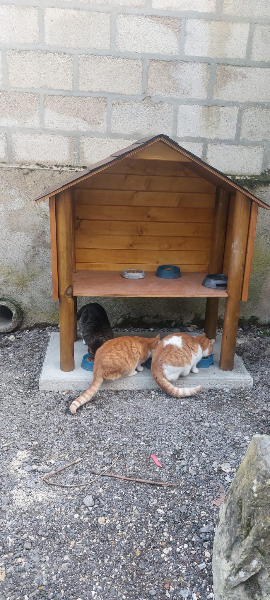 Cabane sur pilotis installée par la mairie
